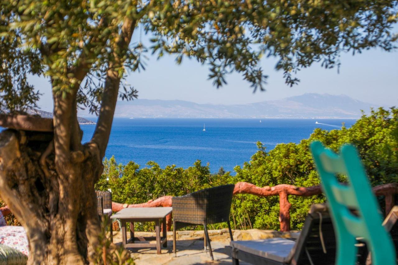 The Aegean Gate Hotel (Adults Only) Αλικαρνασσός Εξωτερικό φωτογραφία