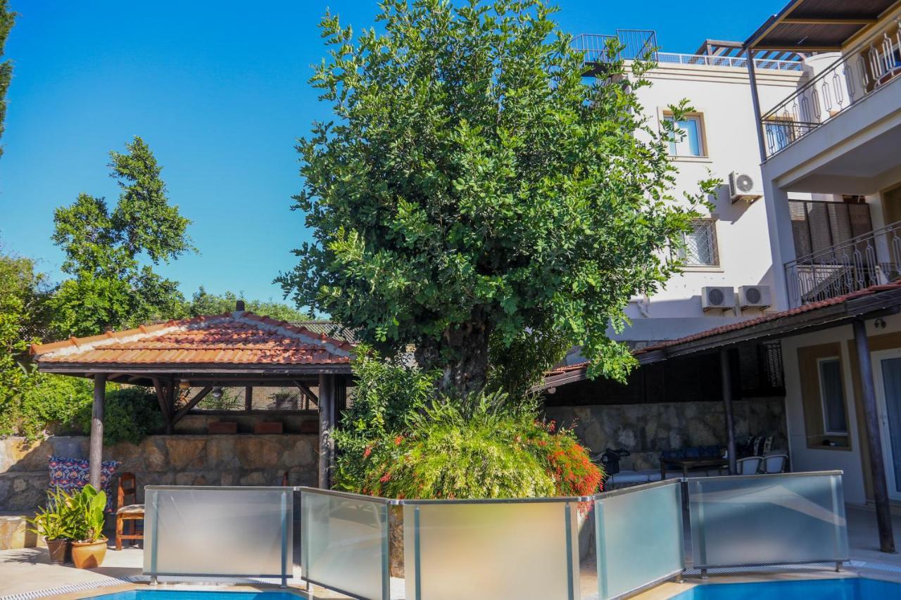 The Aegean Gate Hotel (Adults Only) Αλικαρνασσός Εξωτερικό φωτογραφία