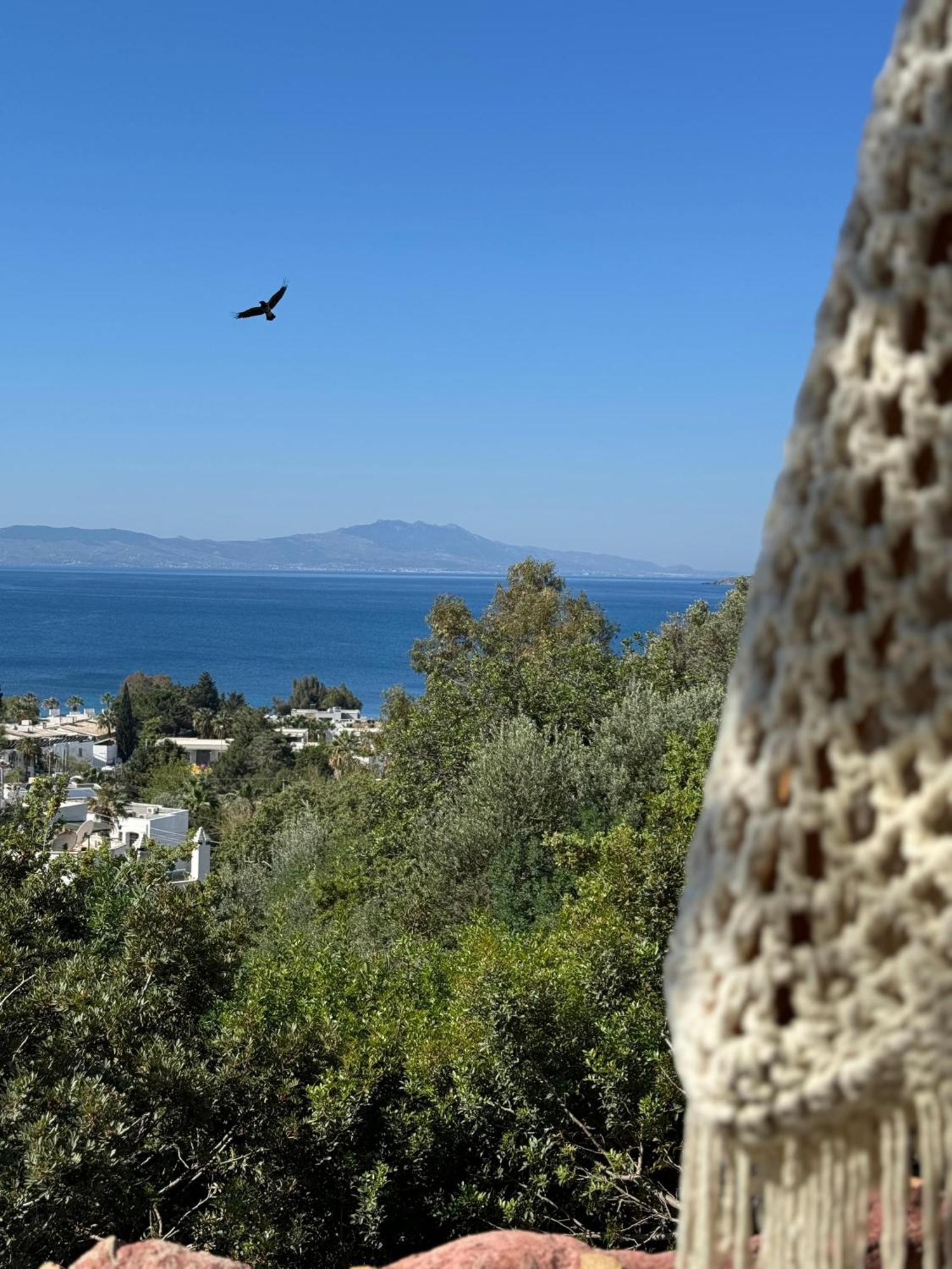The Aegean Gate Hotel (Adults Only) Αλικαρνασσός Εξωτερικό φωτογραφία
